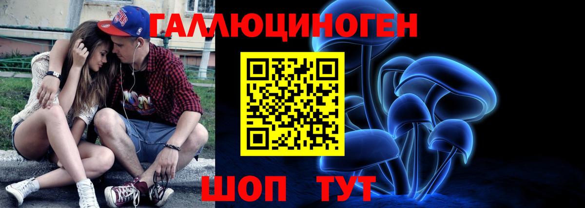 Галлюциногенные грибы Psilocybe Урюпинск